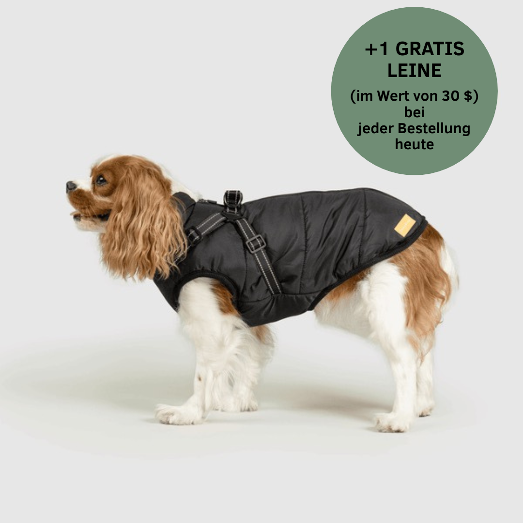 Lumiviane 3-in-1-Winterjacke