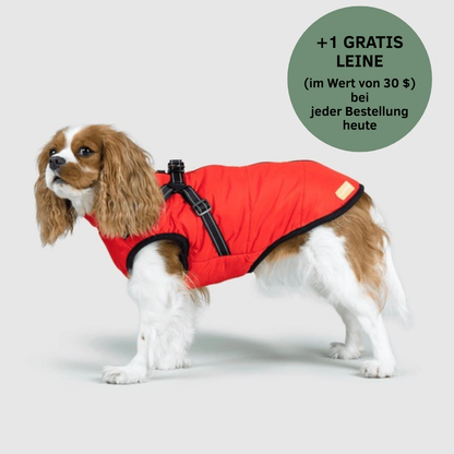 Lumiviane 3-in-1-Winterjacke