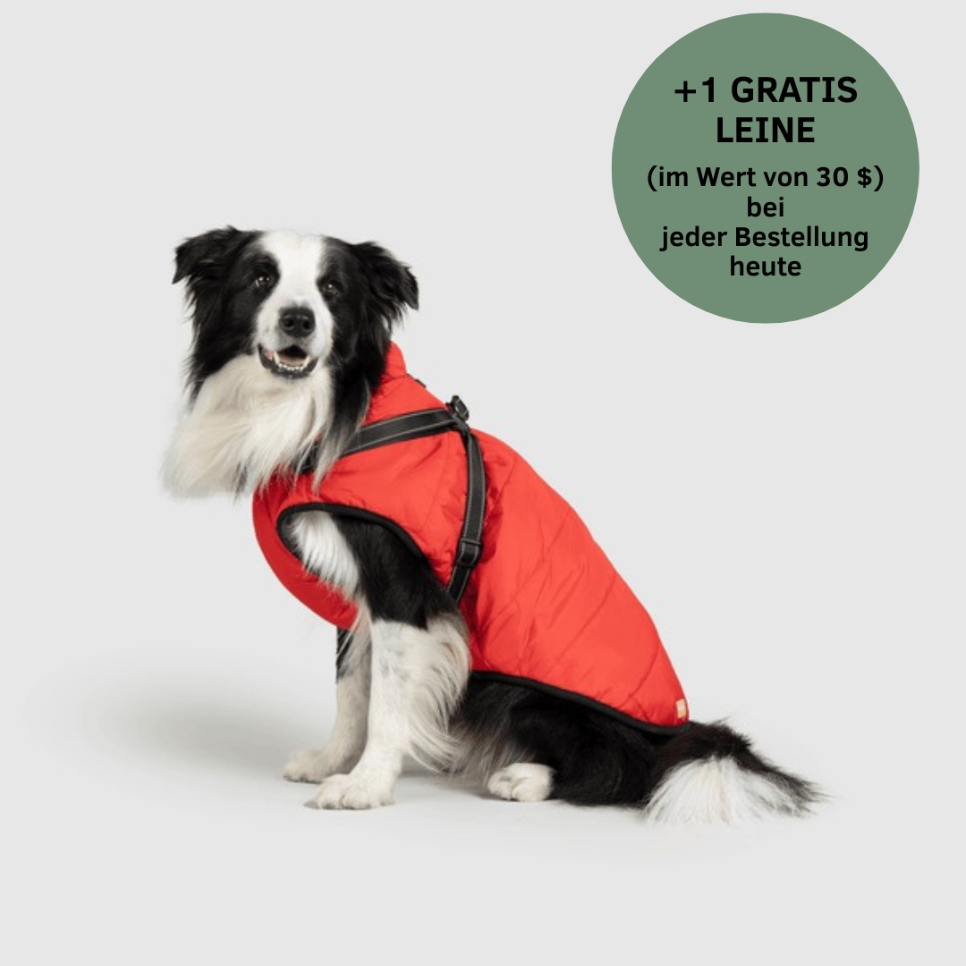 Lumiviane 3-in-1-Winterjacke
