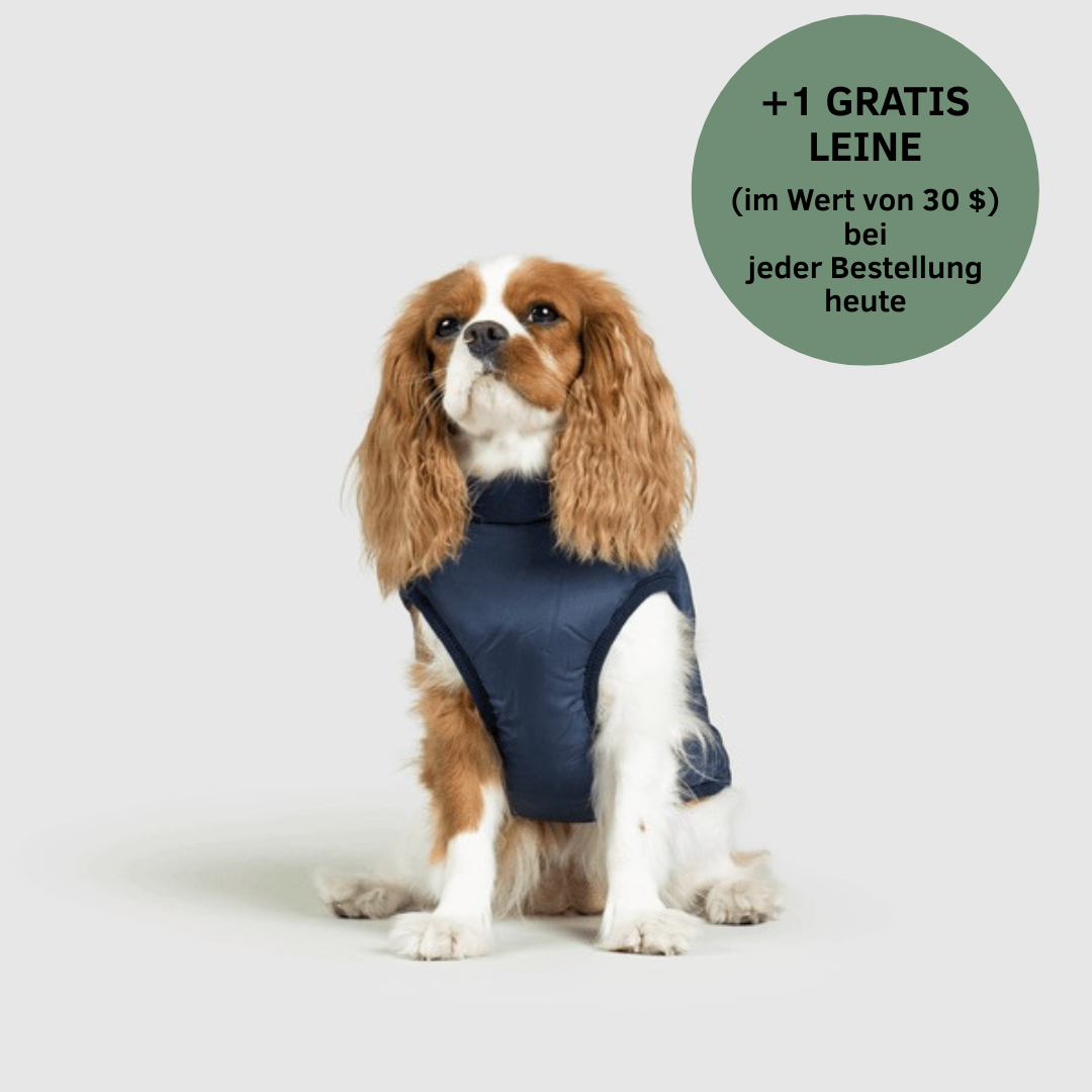 Lumiviane 3-in-1-Winterjacke