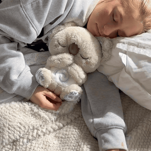 Koala Apaisant – Ihr Anker gegen nächtliche Ängste